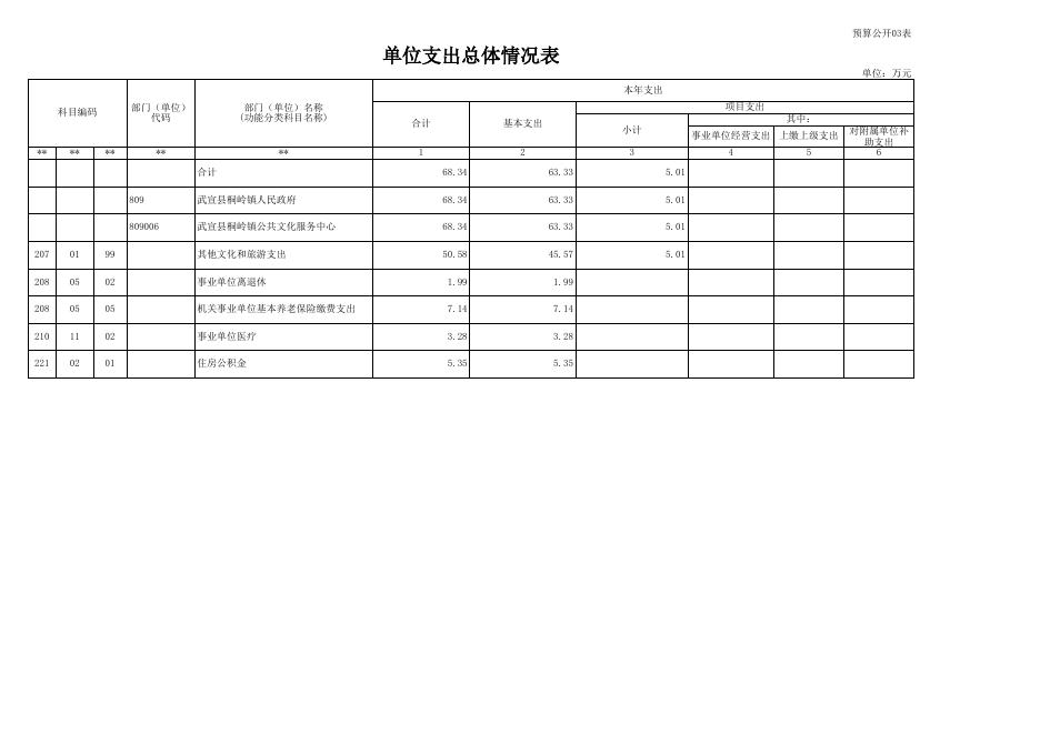 武宣县桐岭镇公共文化服务中心2023年单位预算公开表.xls