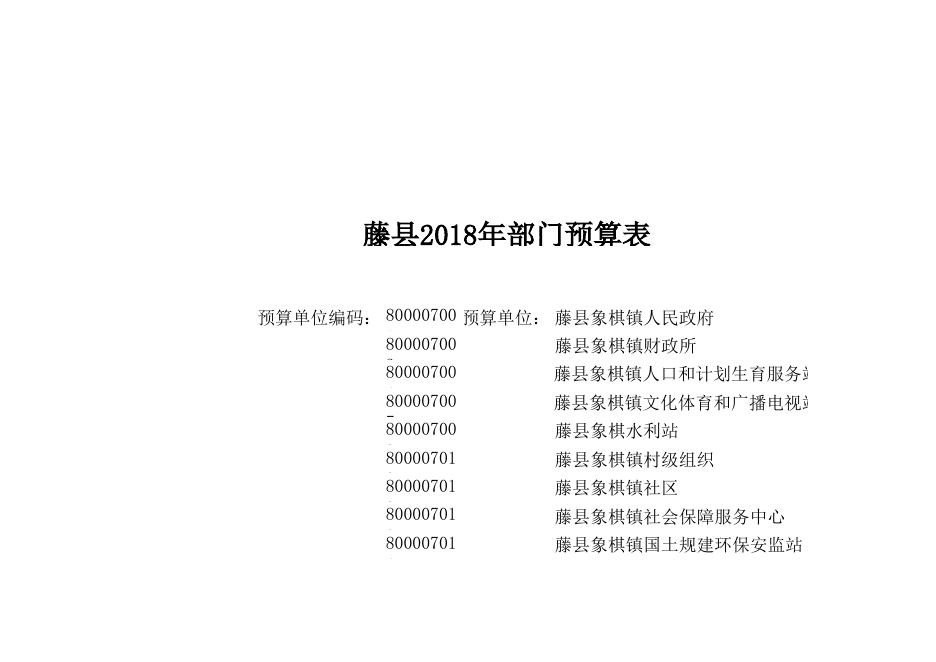 藤县象棋镇部门预算表.XLS.xls