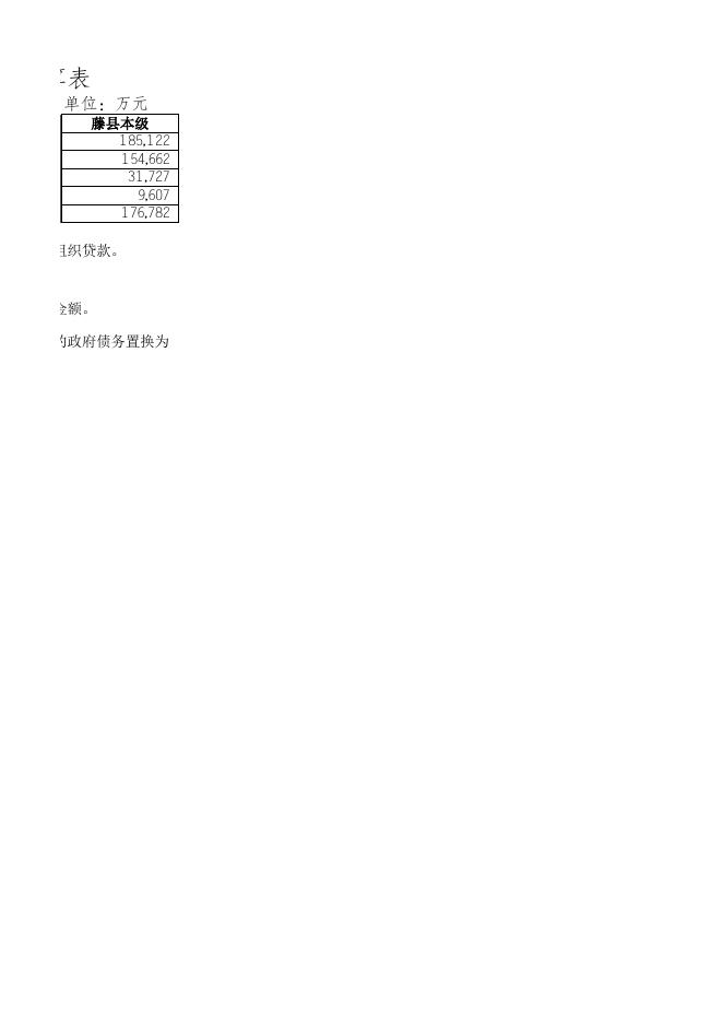 2019年政府债券决算情况表.xlsx
