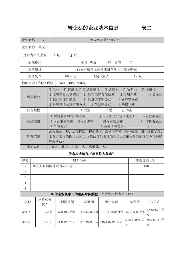 西安欣唐置业项目详细信息.doc