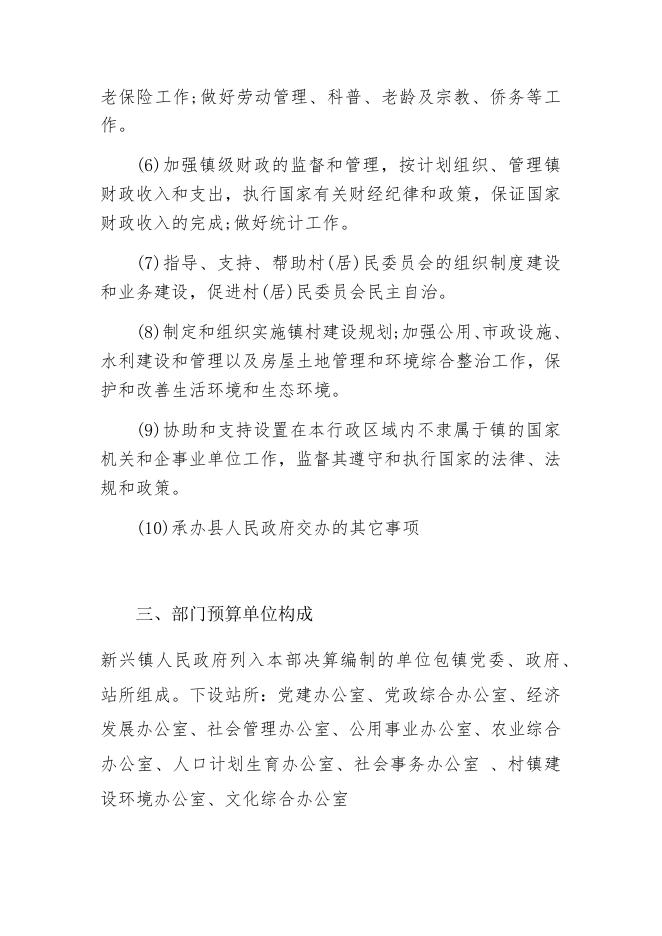 新兴镇-2021年部门预算公开说明格式.docx