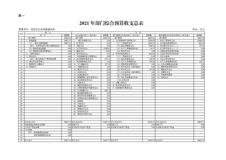公安新城分局2021年部门综合预算公开报表.pdf