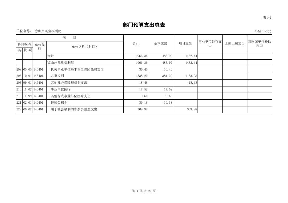 凉山州儿童福利院2020年部门预算公开表.xls