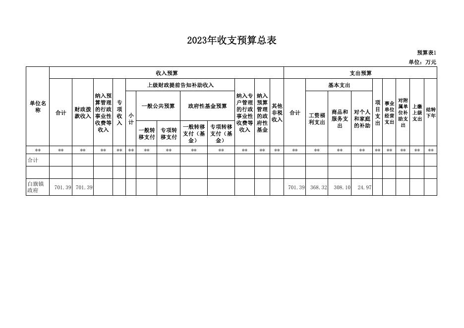 白旗2023年部门预算批复表.pdf