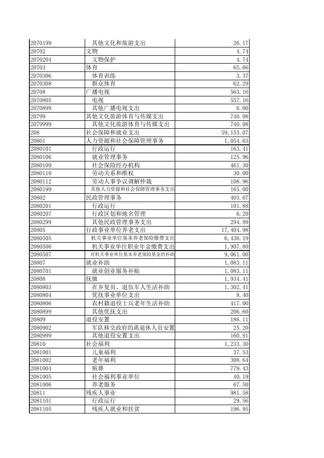 2020年县本级支出表.xls