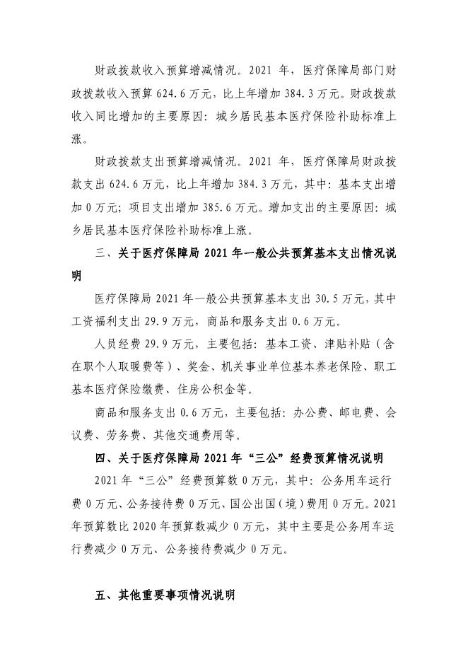 2021年望花区医疗保障局部门预算和三公经费预算公开报告.pdf