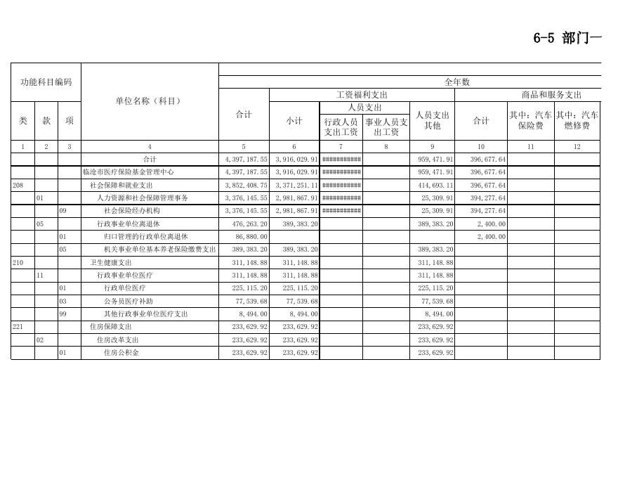 2019年临沧市医疗保险管理局预算公开表.xls