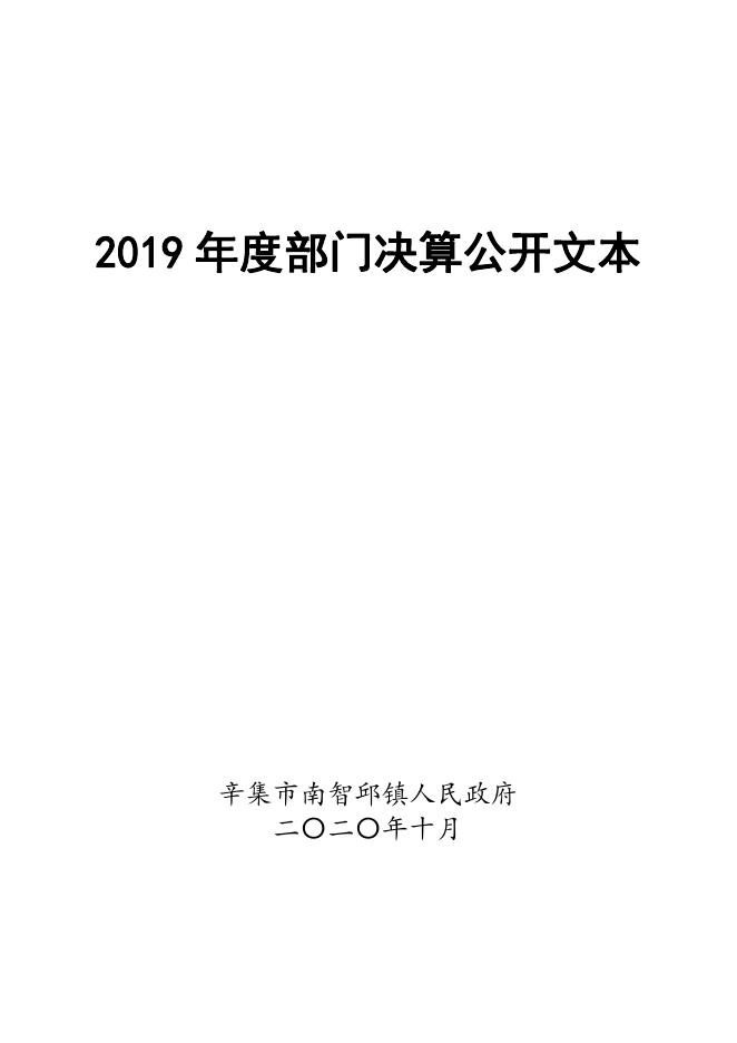 辛集市南智邱镇人民政府2019年度部门决算公开.pdf