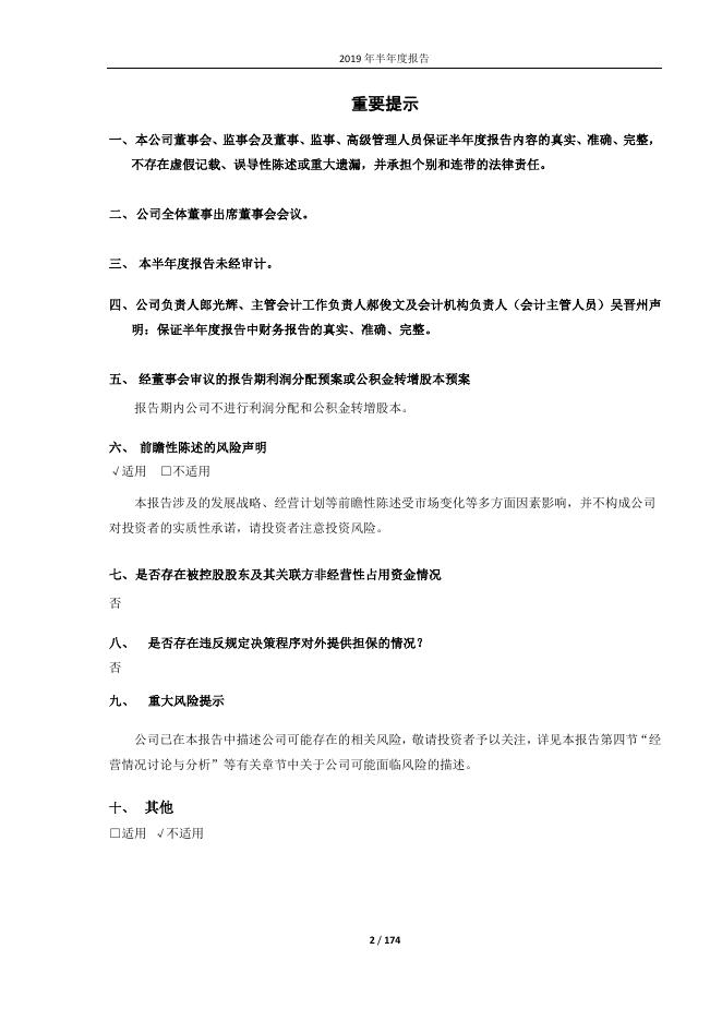 索通发展:2019年半年度报告.PDF