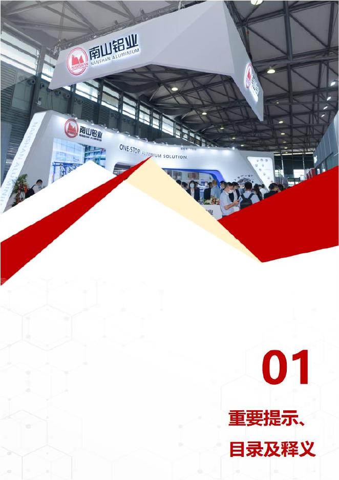 南山铝业:山东南山铝业股份有限公司2021年年度报告.PDF