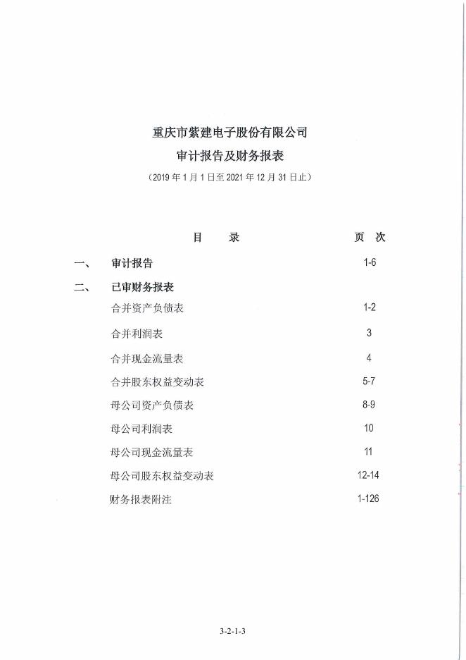 紫建电子:财务报表及审计报告.PDF