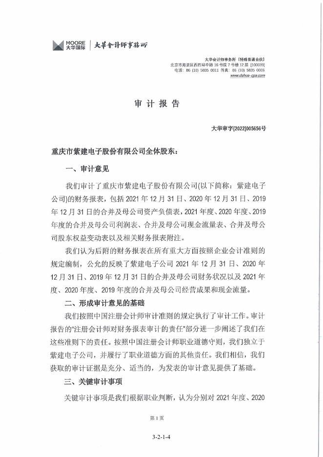 紫建电子:财务报表及审计报告.PDF