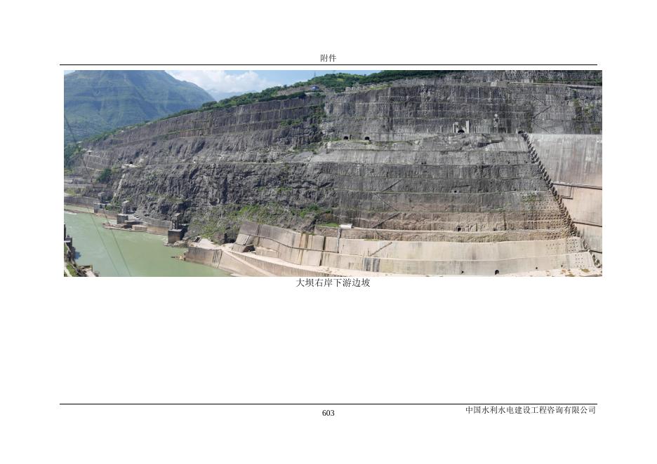 溪洛渡水电站水土保持设施验收报告附件-3.pdf