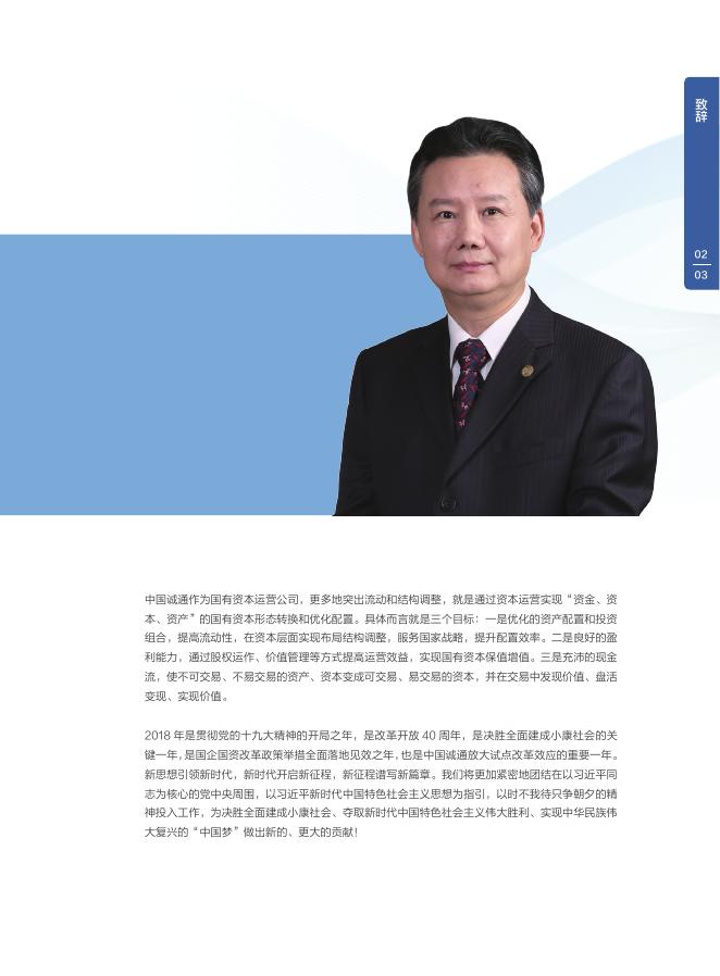 中国诚通年度报告2017.pdf