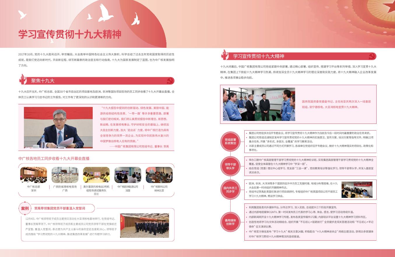 2017年中广核报告 2018-06-25.pdf
