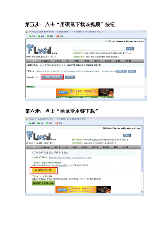 硕鼠-网上视频下载.doc