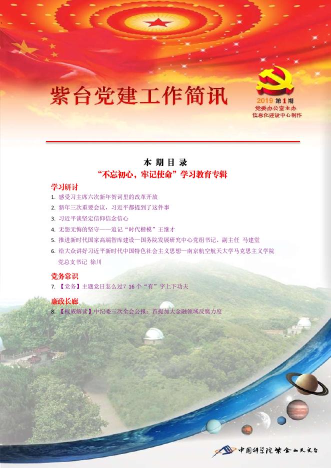 紫台党建工作简讯2019年第1期.pdf