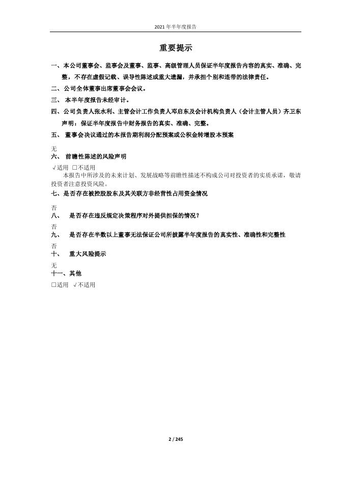 2021年半年度报告.pdf