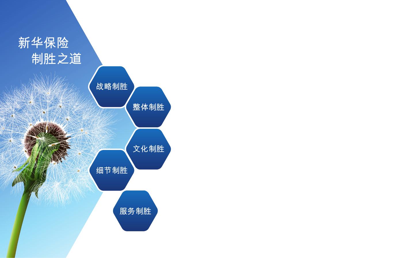 新华人寿保险股份有限公司2012年年报_1549036429831.pdf