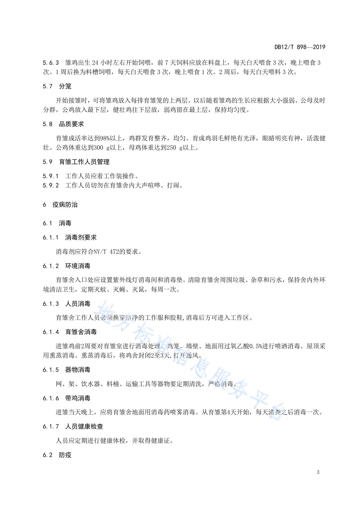 鹊山鸡育雏技术规范