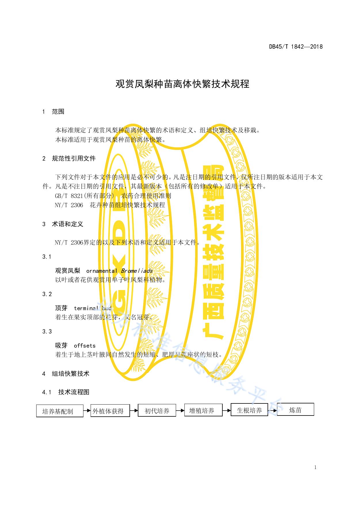 观赏凤梨种苗离体快繁技术规程