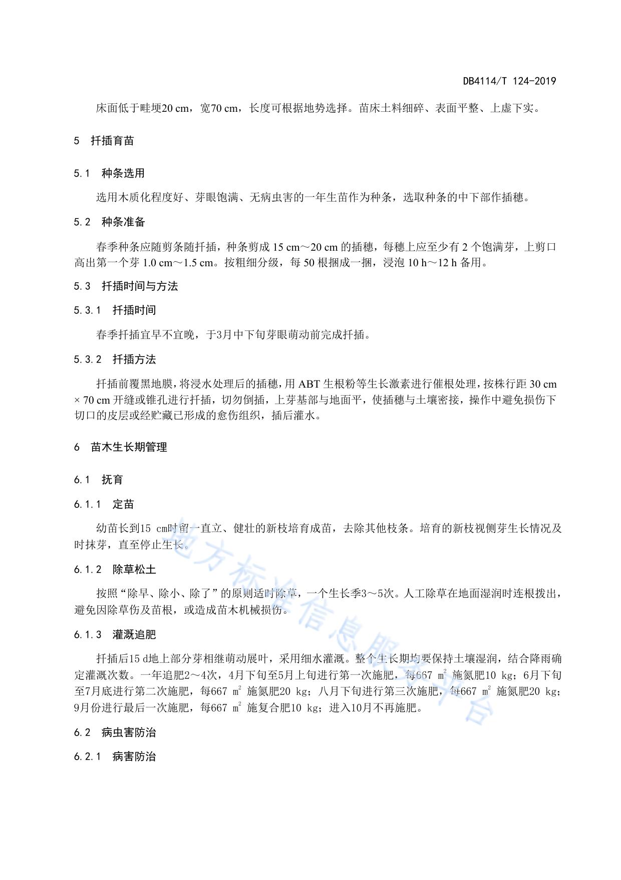 ‘吉德1号’杨扦插育苗技术规程