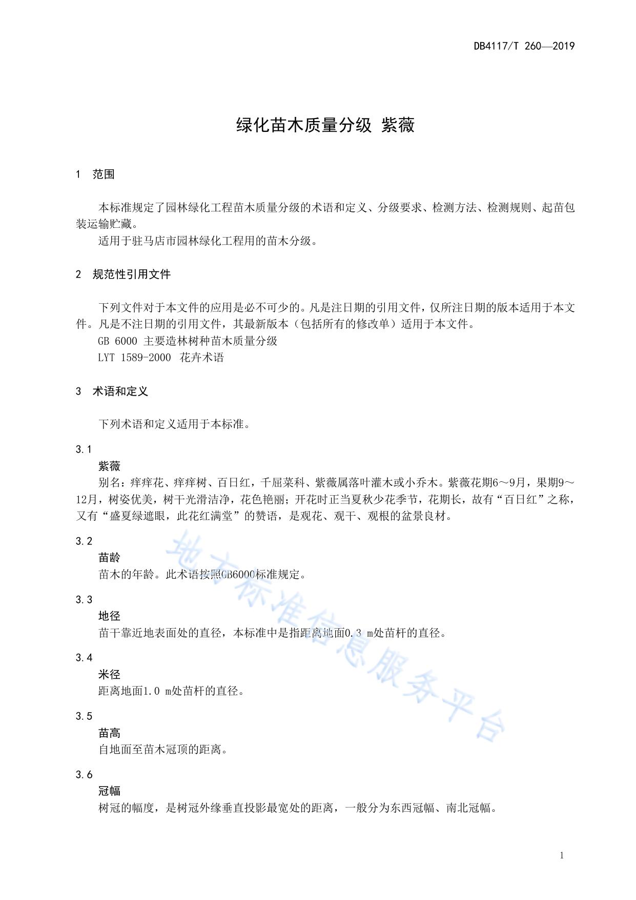 绿化工程苗木质量分级  紫薇