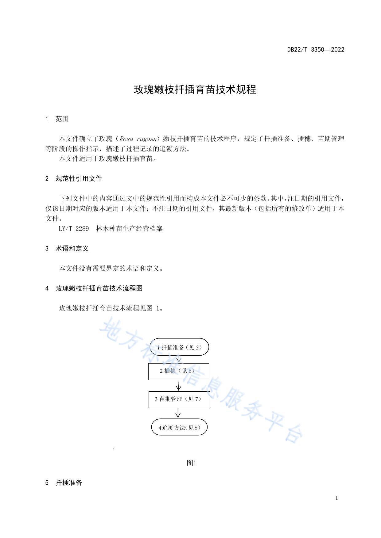 玫瑰嫩枝扦插育苗技术规程
