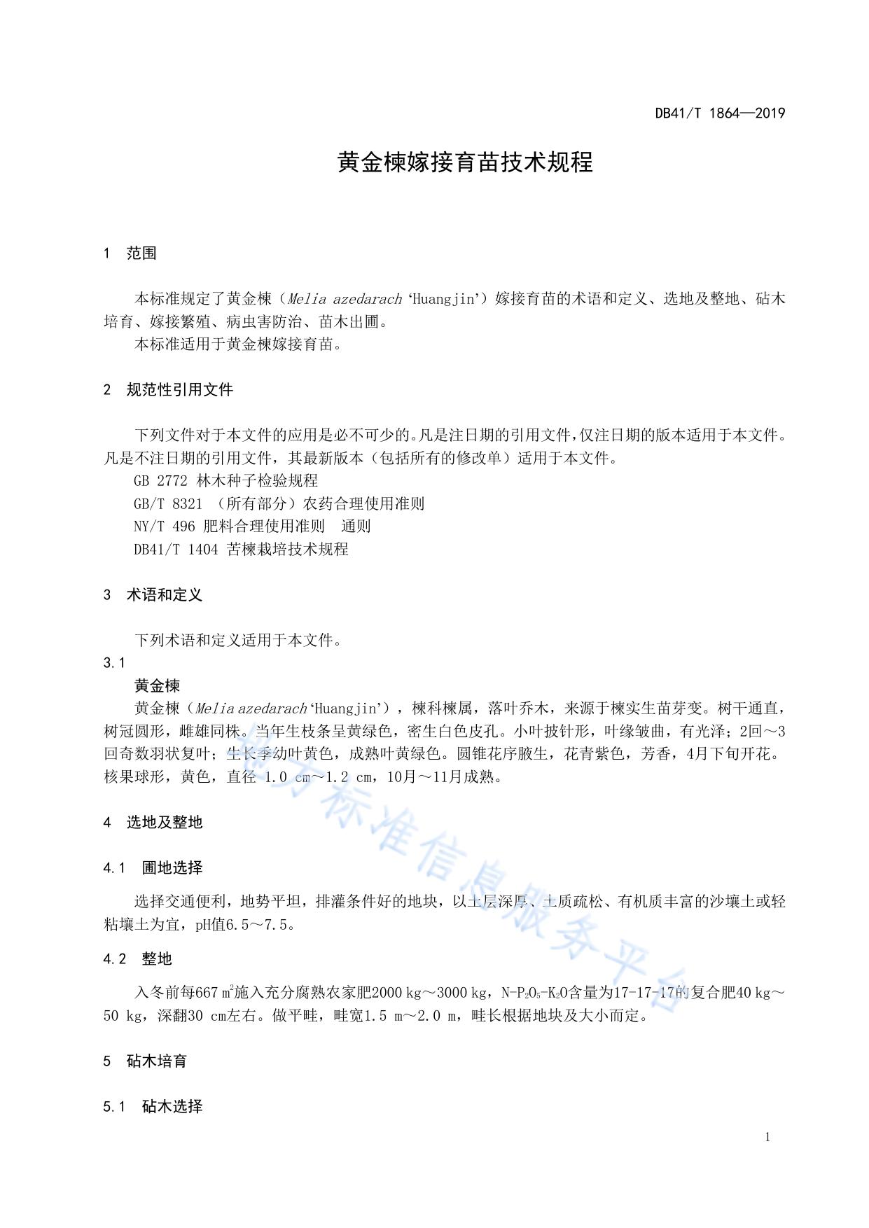 黄金楝嫁接育苗技术规程