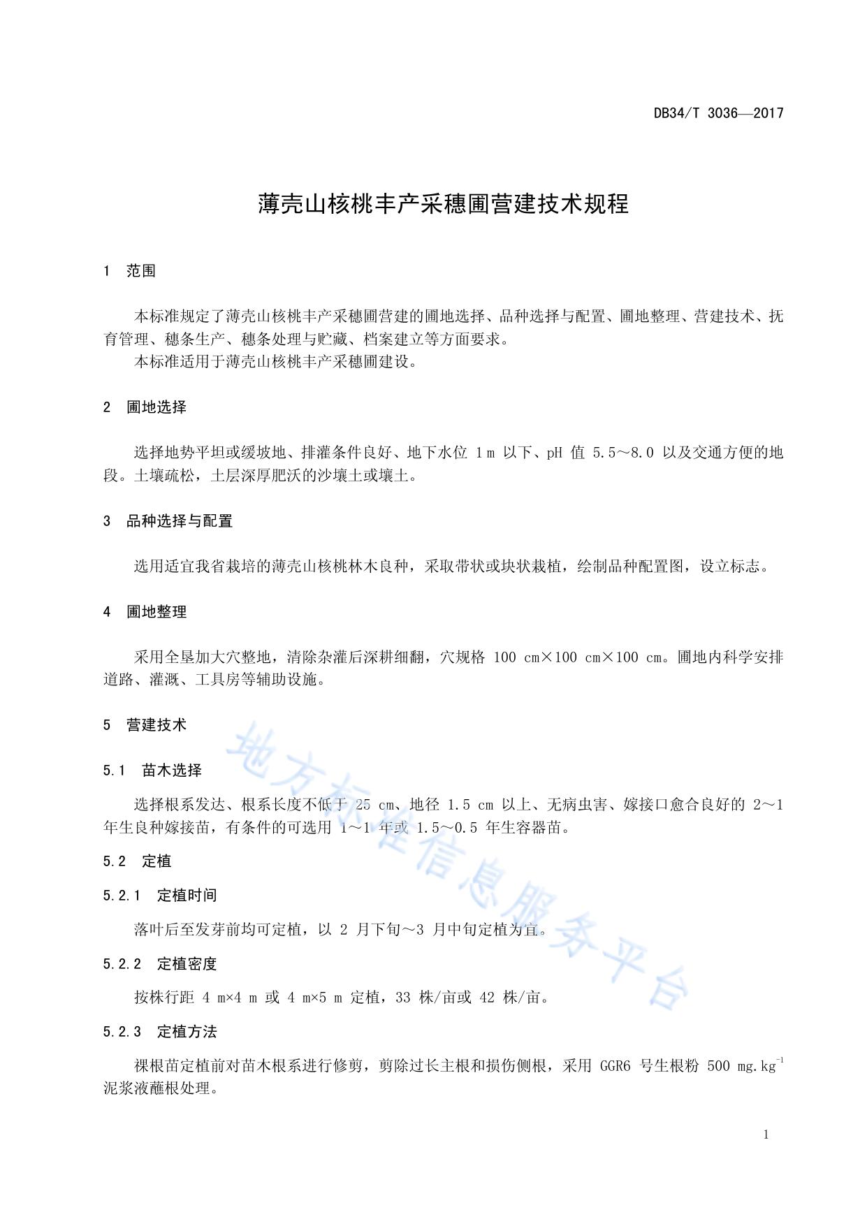 薄壳山核桃丰产采穗圃营建技术规程