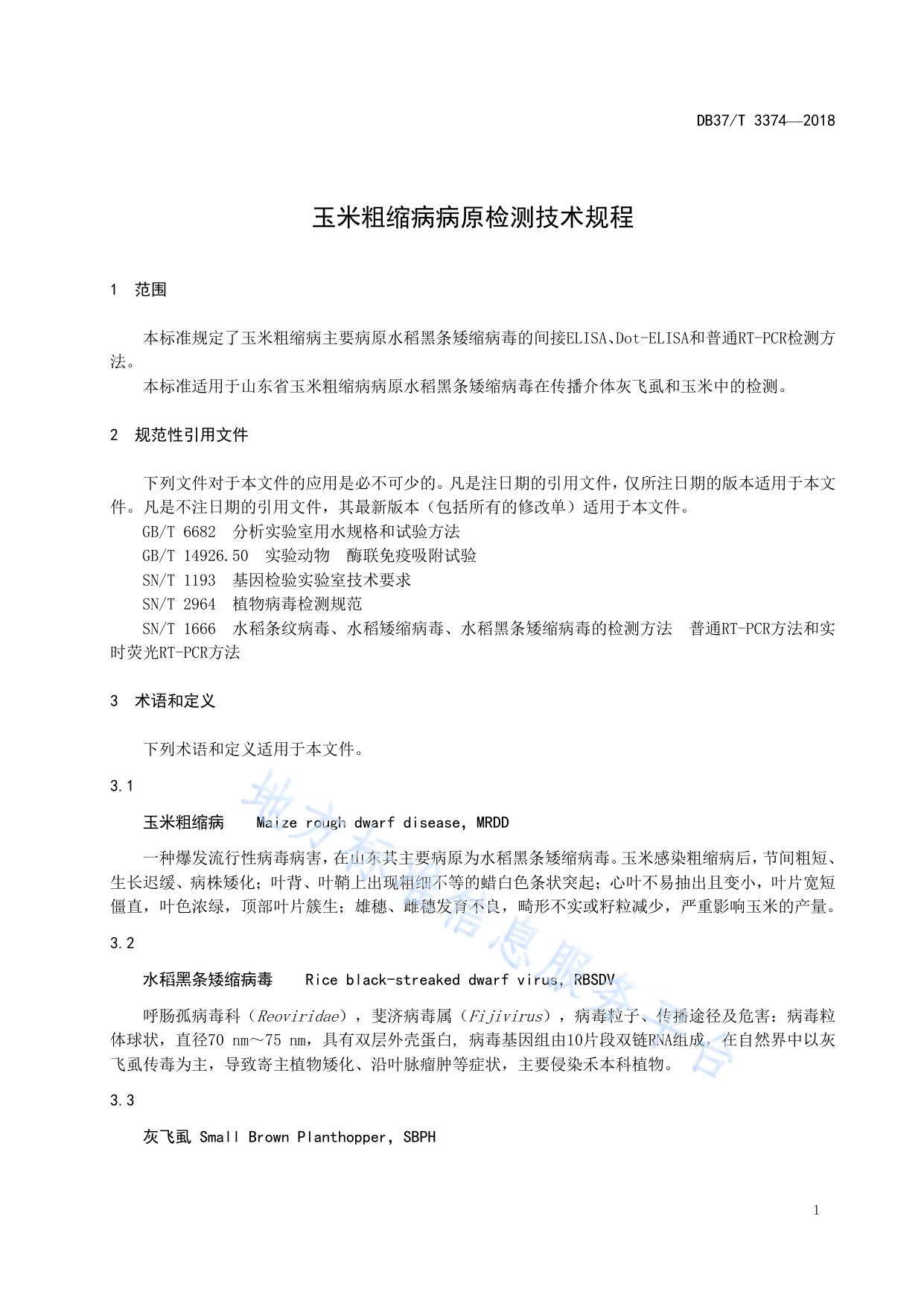 玉米粗缩病病原检测技术规程