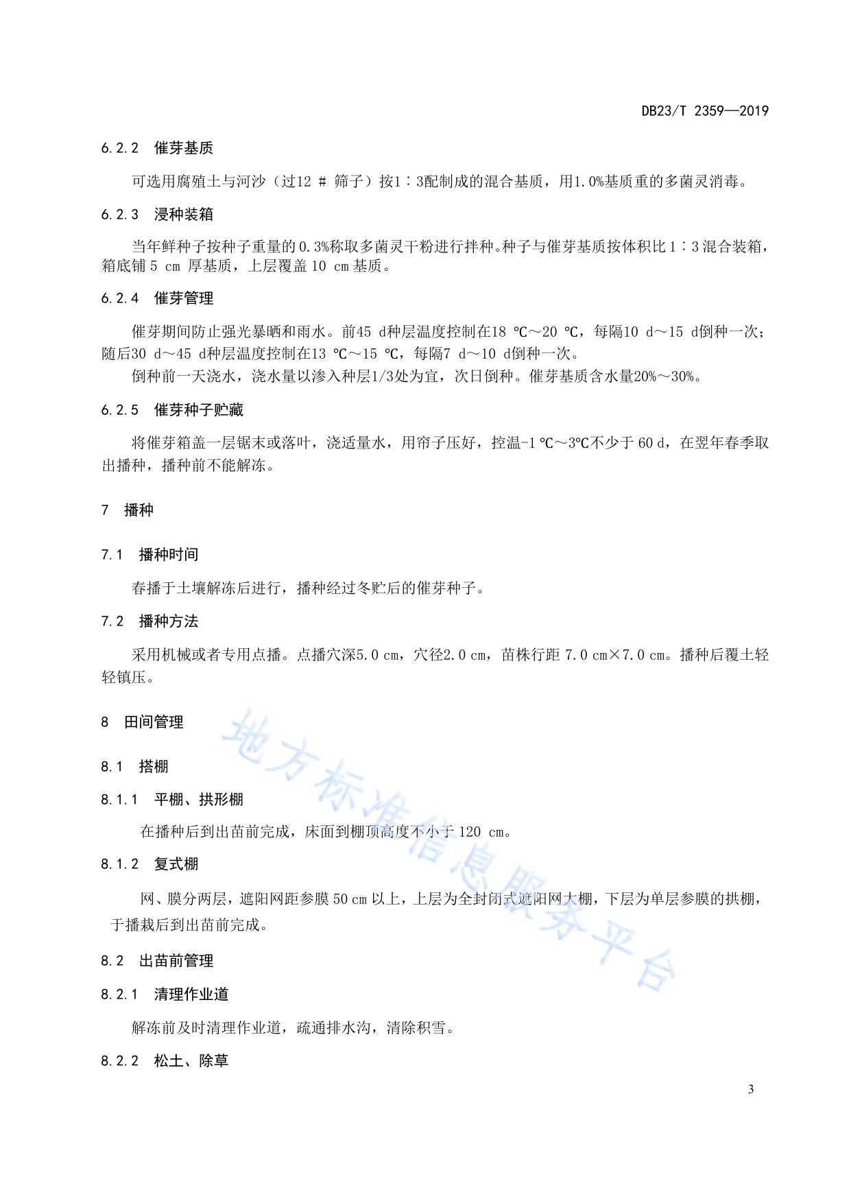 无林地西洋参种苗繁育技术规程