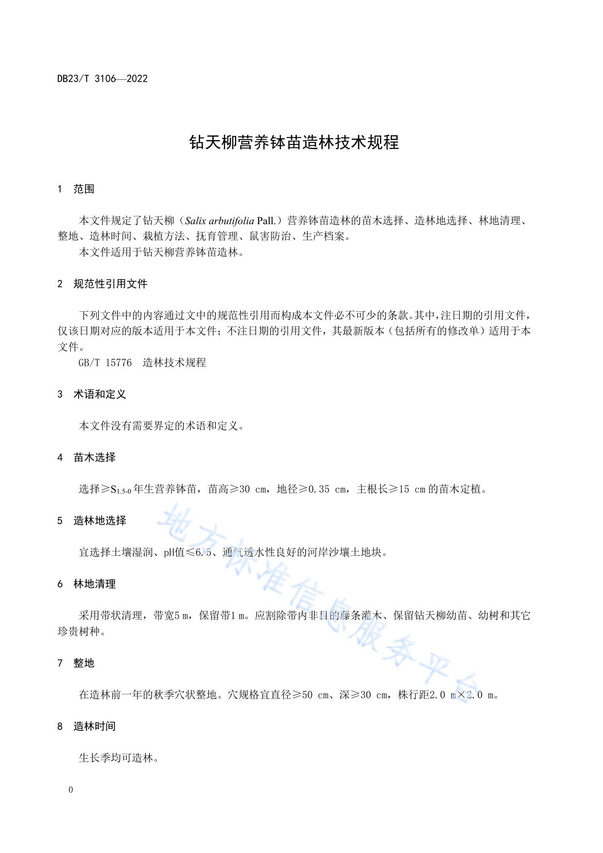 钻天柳营养钵苗造林技术规程