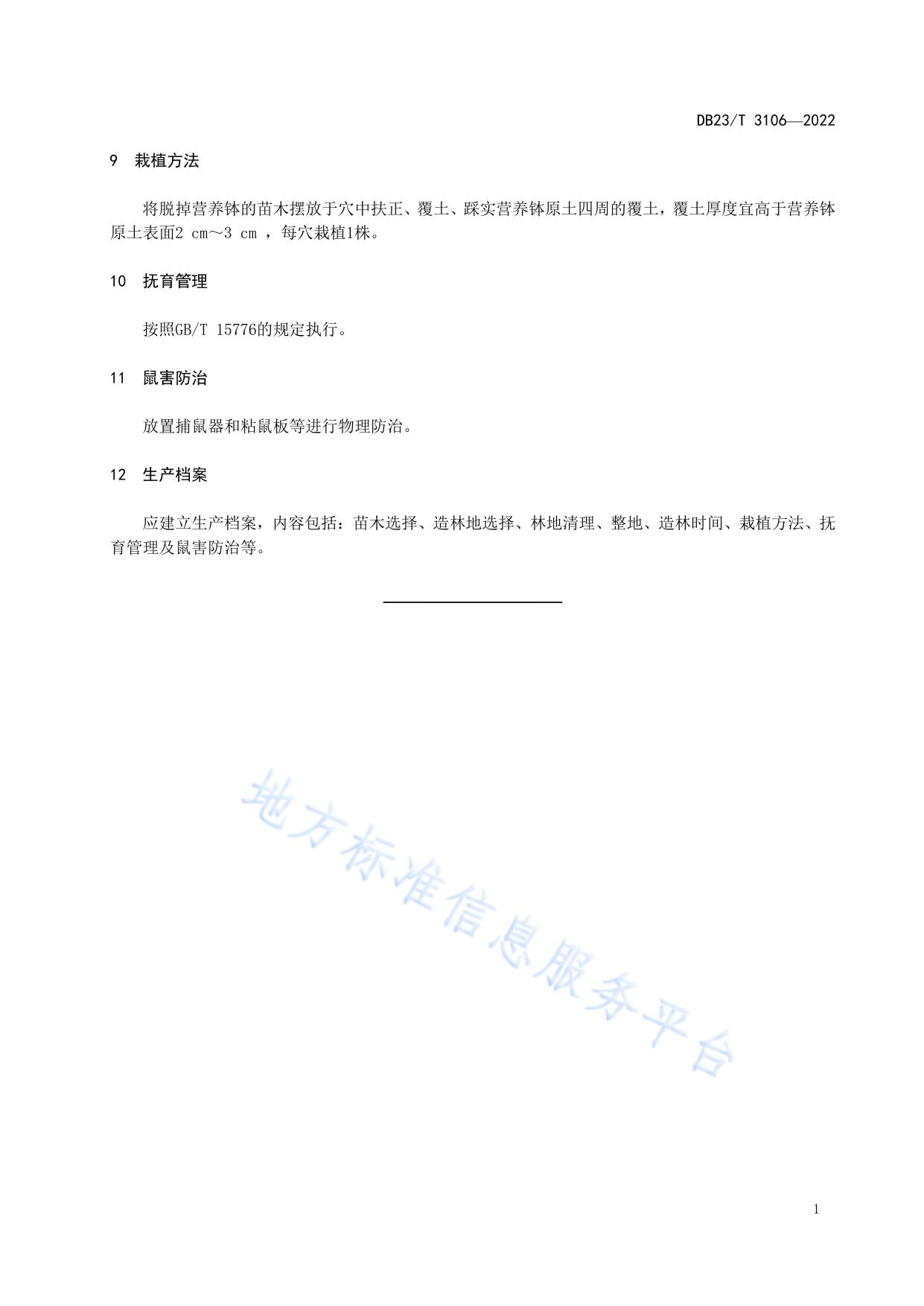 钻天柳营养钵苗造林技术规程