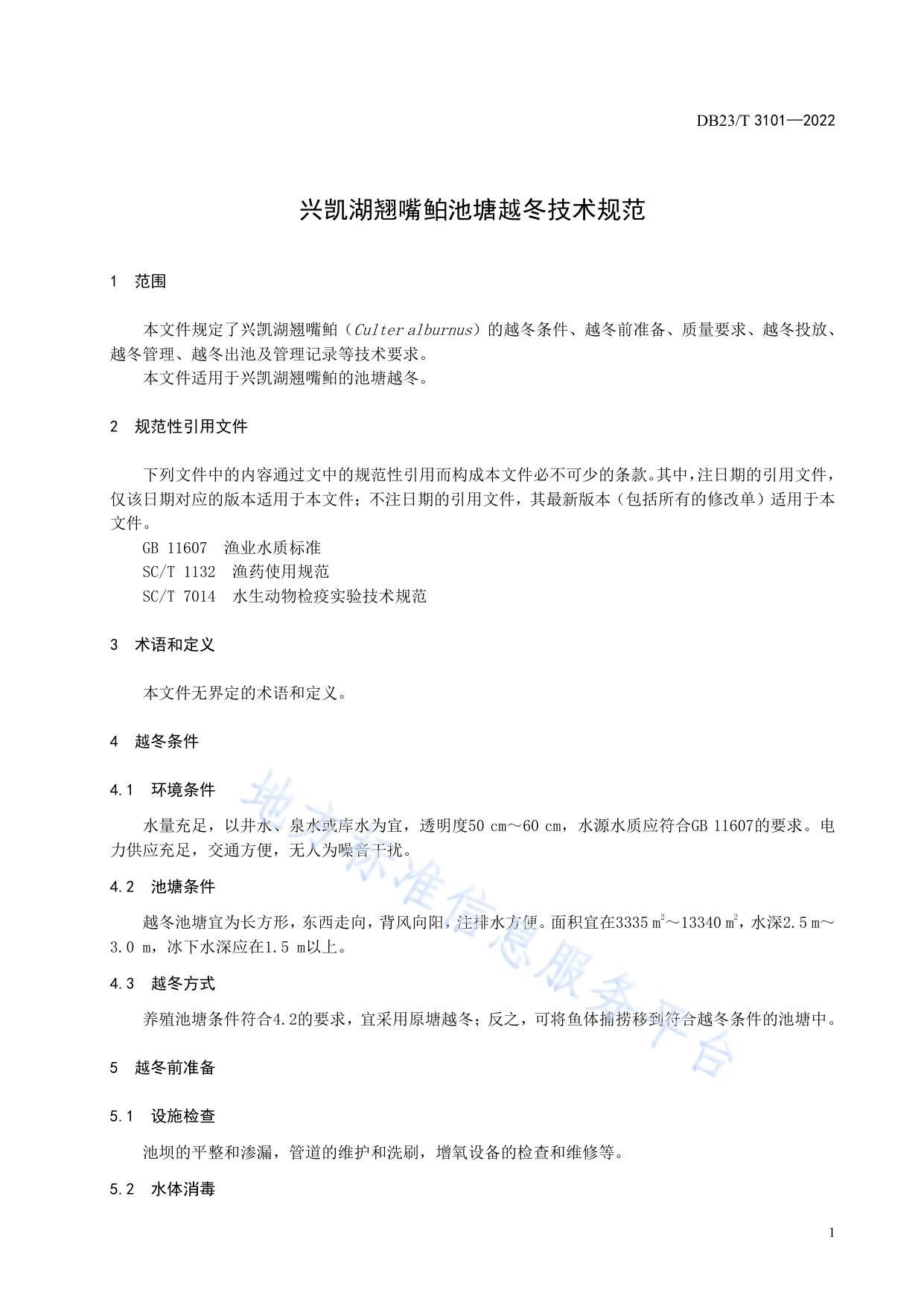 兴凯湖翘嘴鲌池塘越冬技术规范