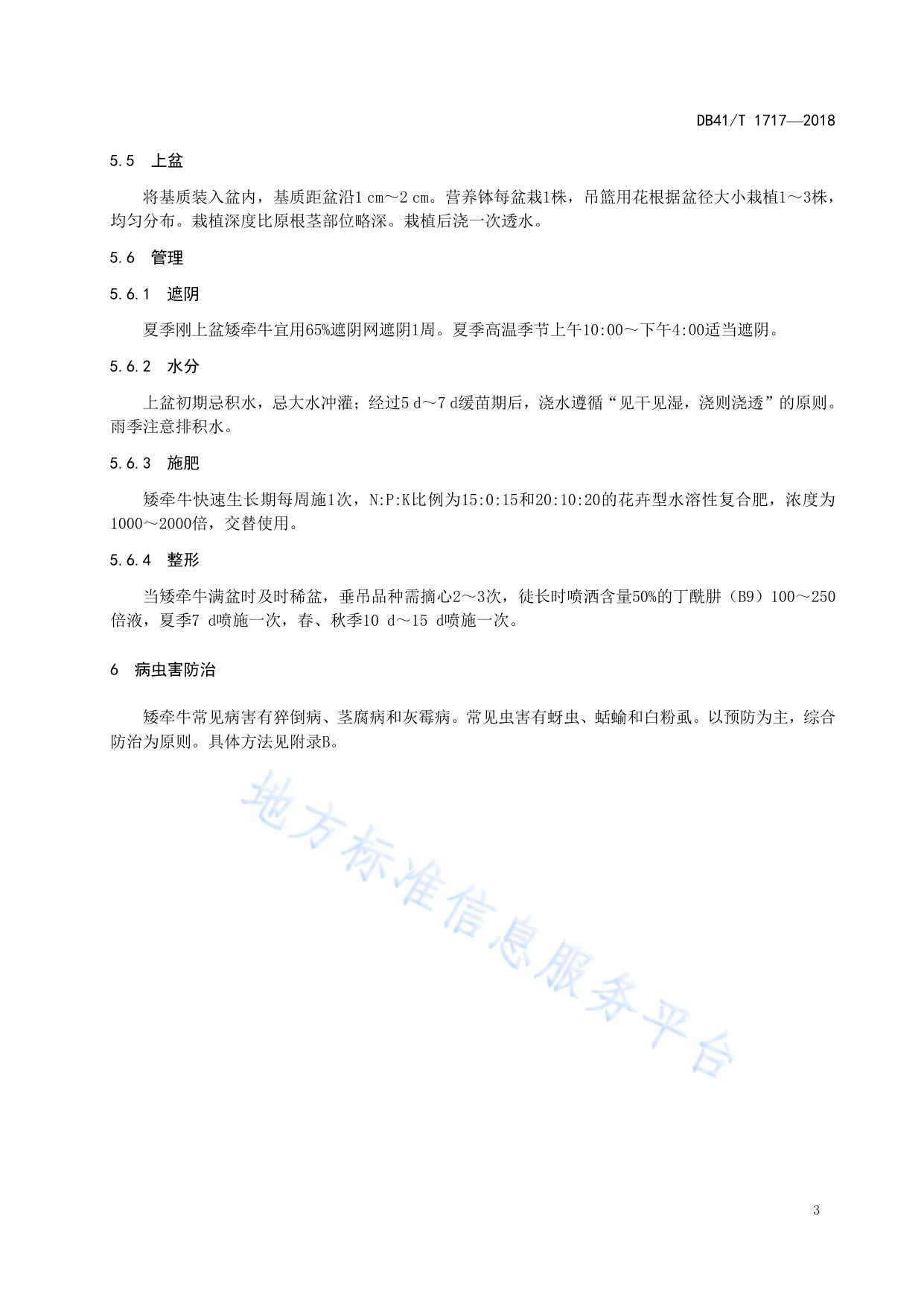 矮牵牛容器育苗技术规程