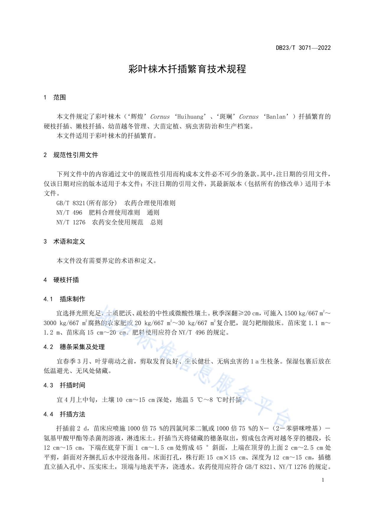 彩叶梾木扦插繁育技术规程