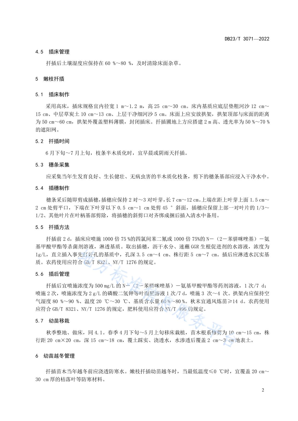 彩叶梾木扦插繁育技术规程
