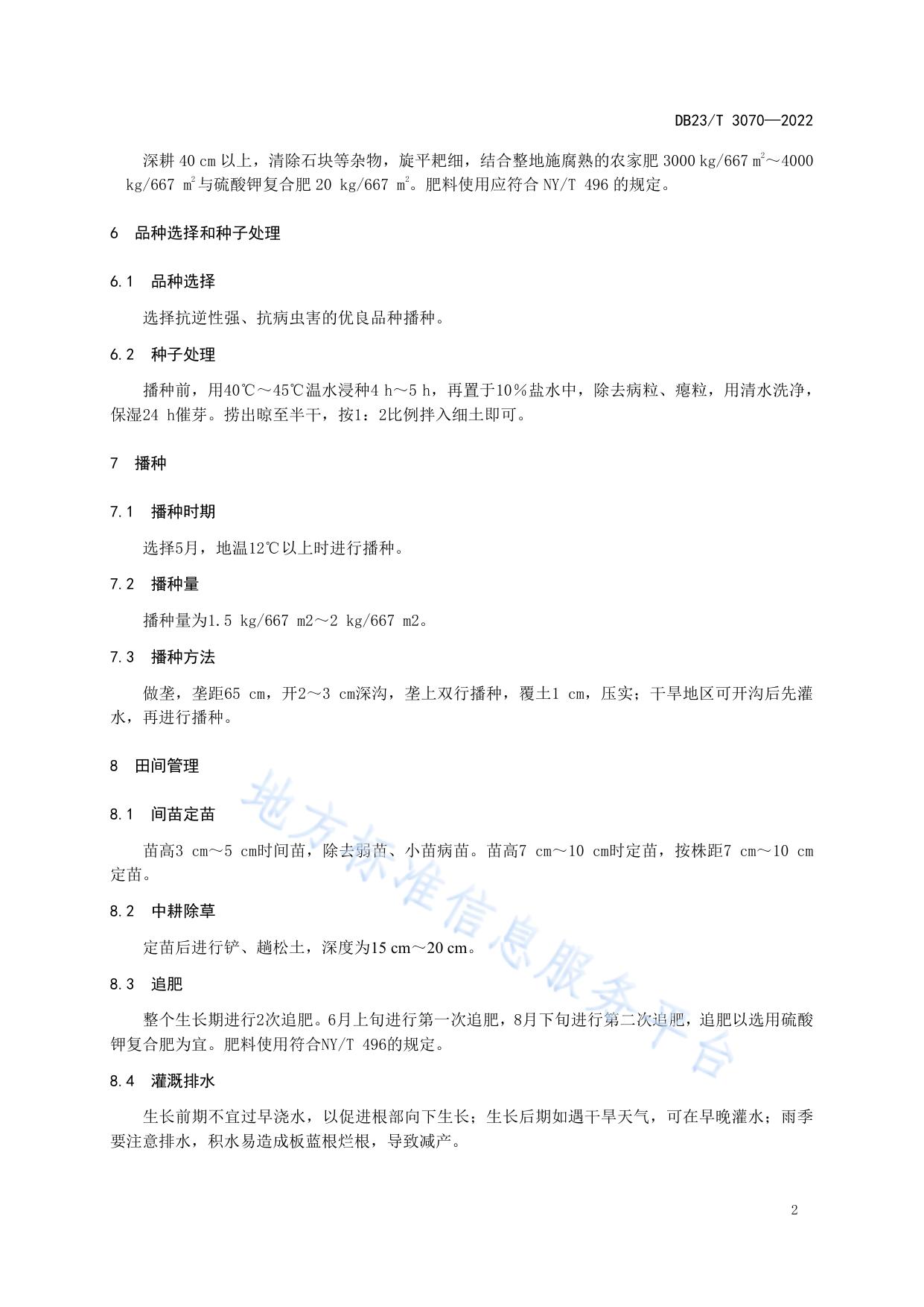 板蓝根（菘蓝干燥根）生产技术规程