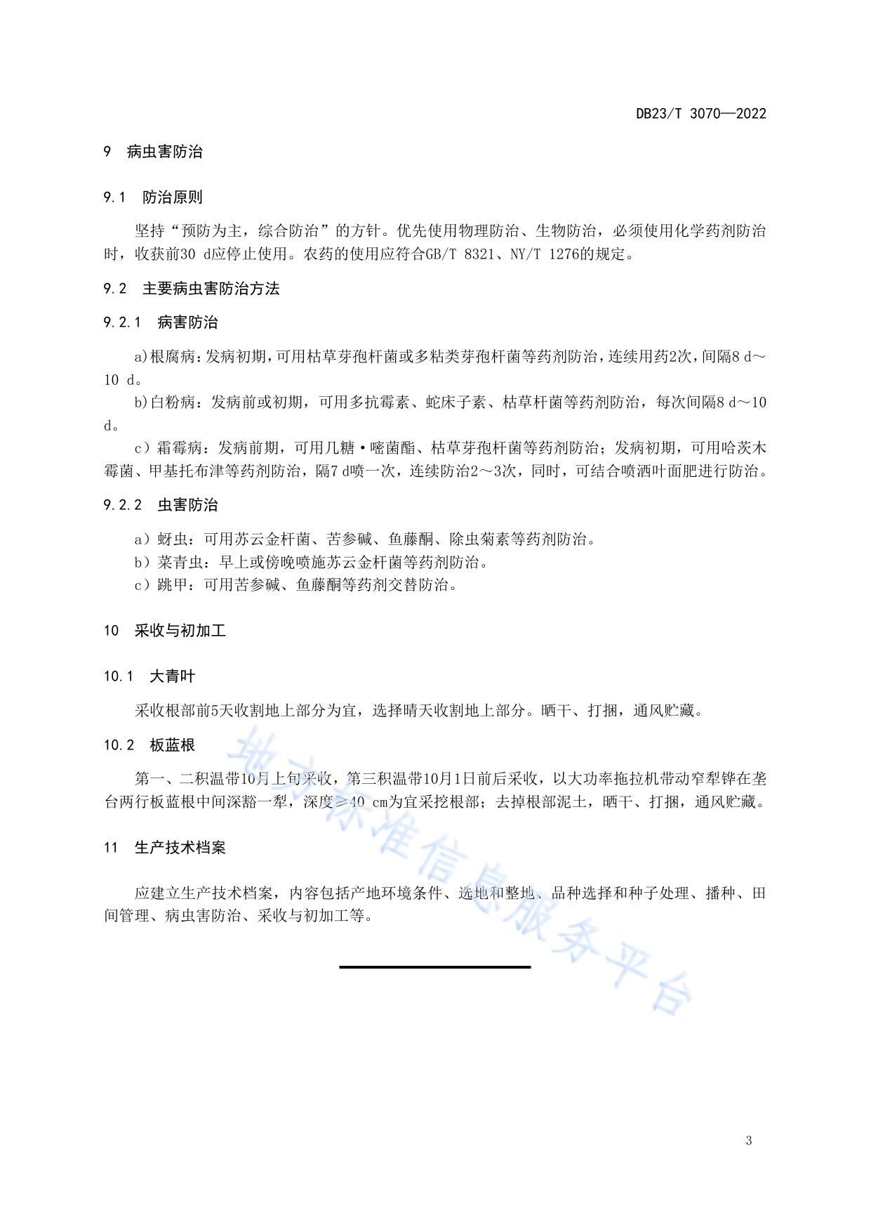 板蓝根（菘蓝干燥根）生产技术规程