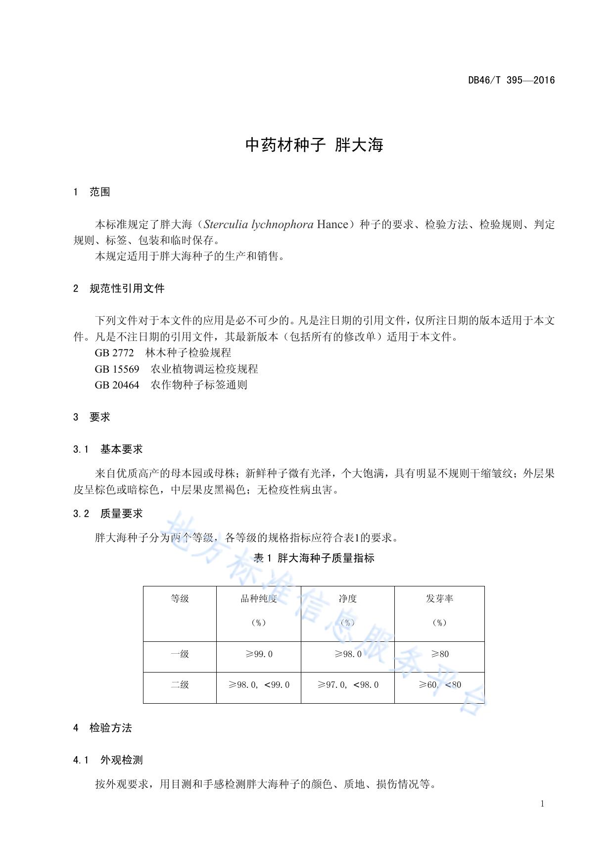 中药材种子 胖大海
