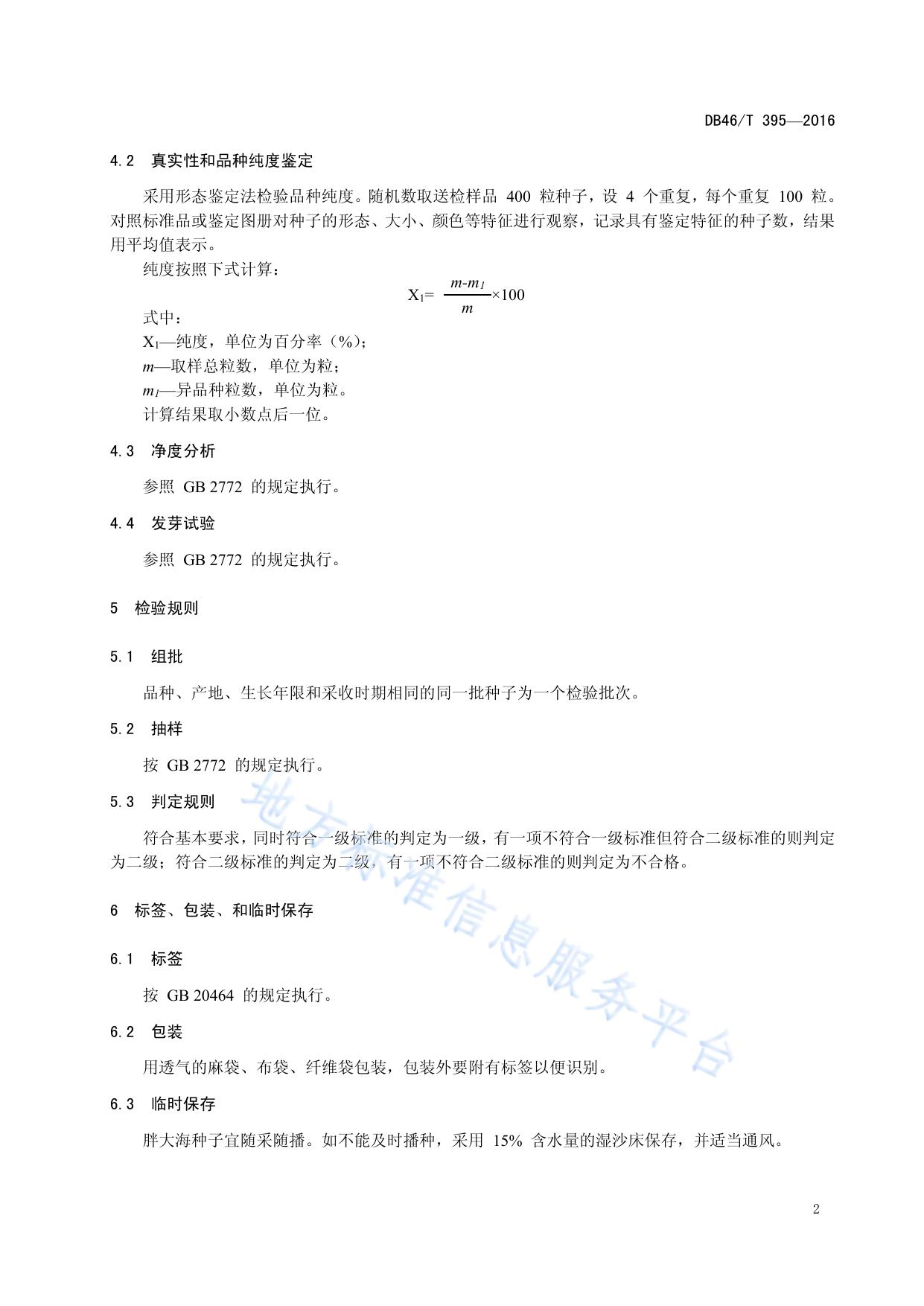 中药材种子 胖大海
