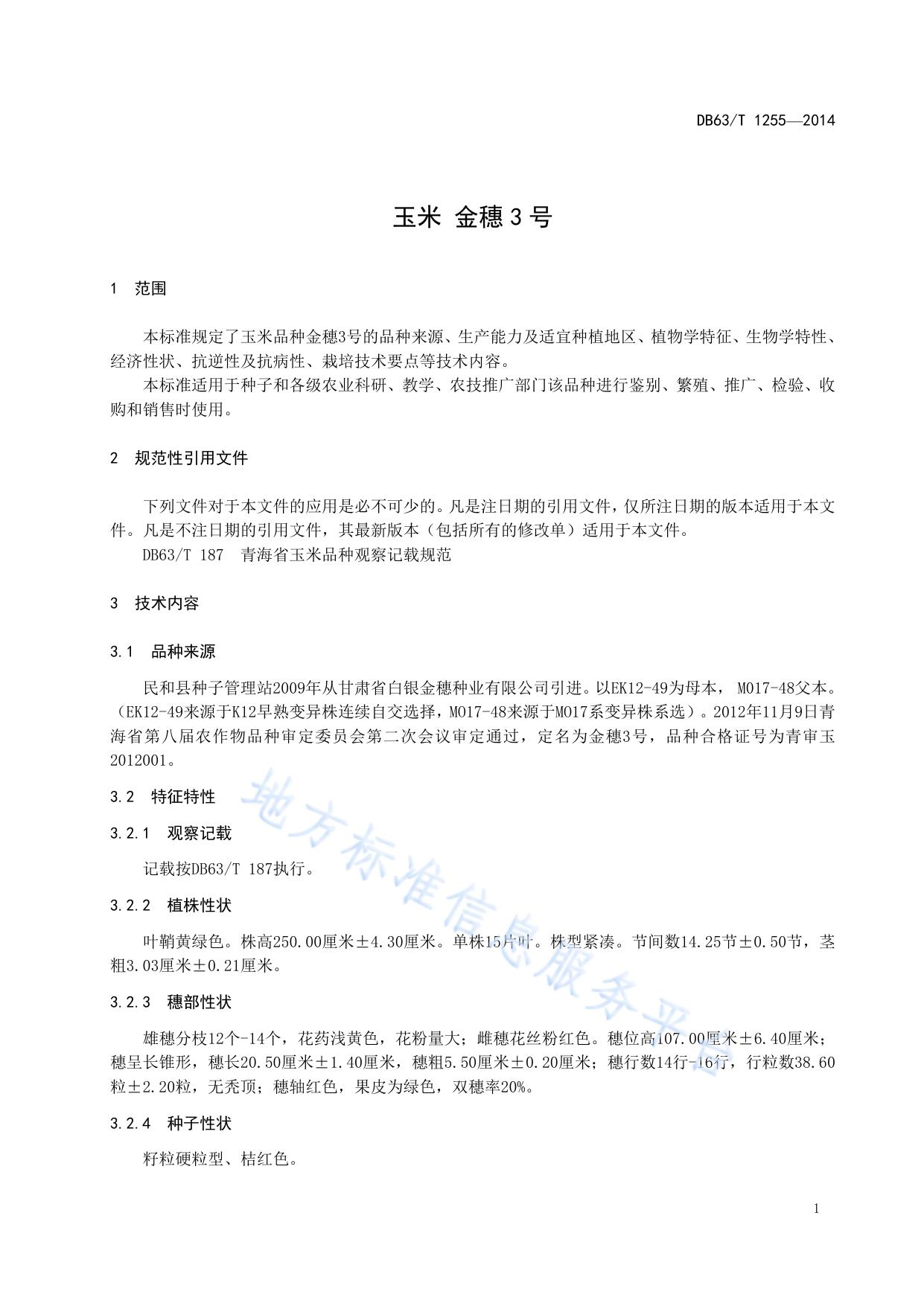 玉米 金穗3号
