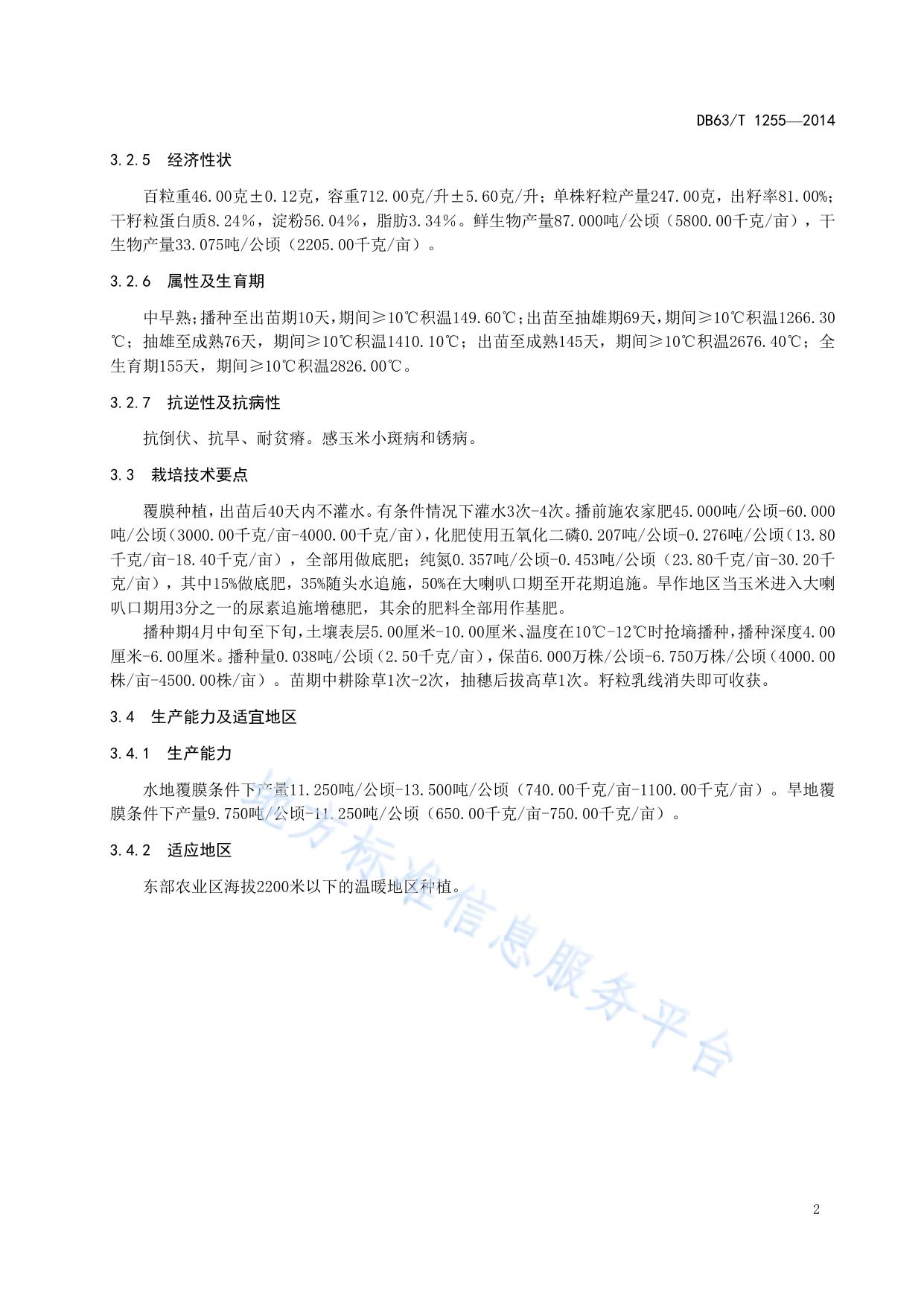 玉米 金穗3号