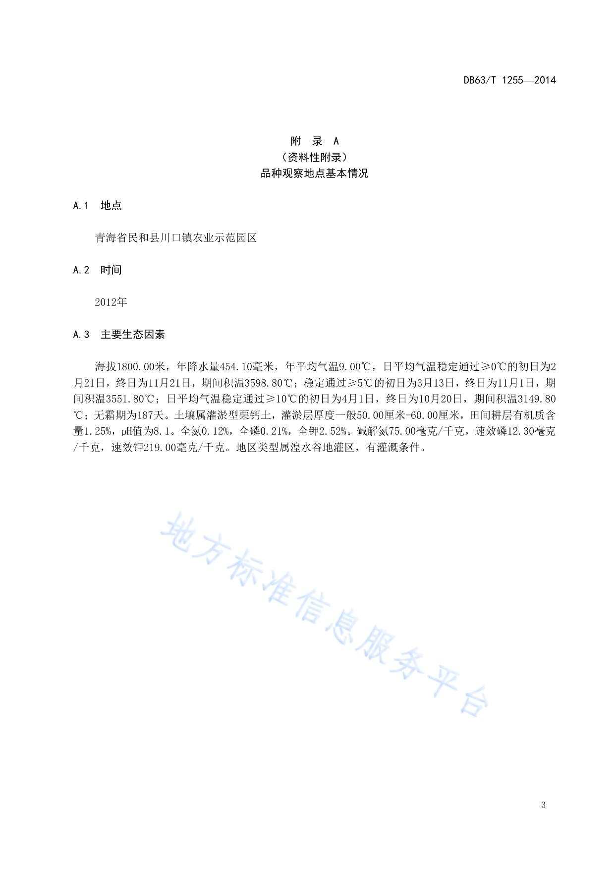 玉米 金穗3号