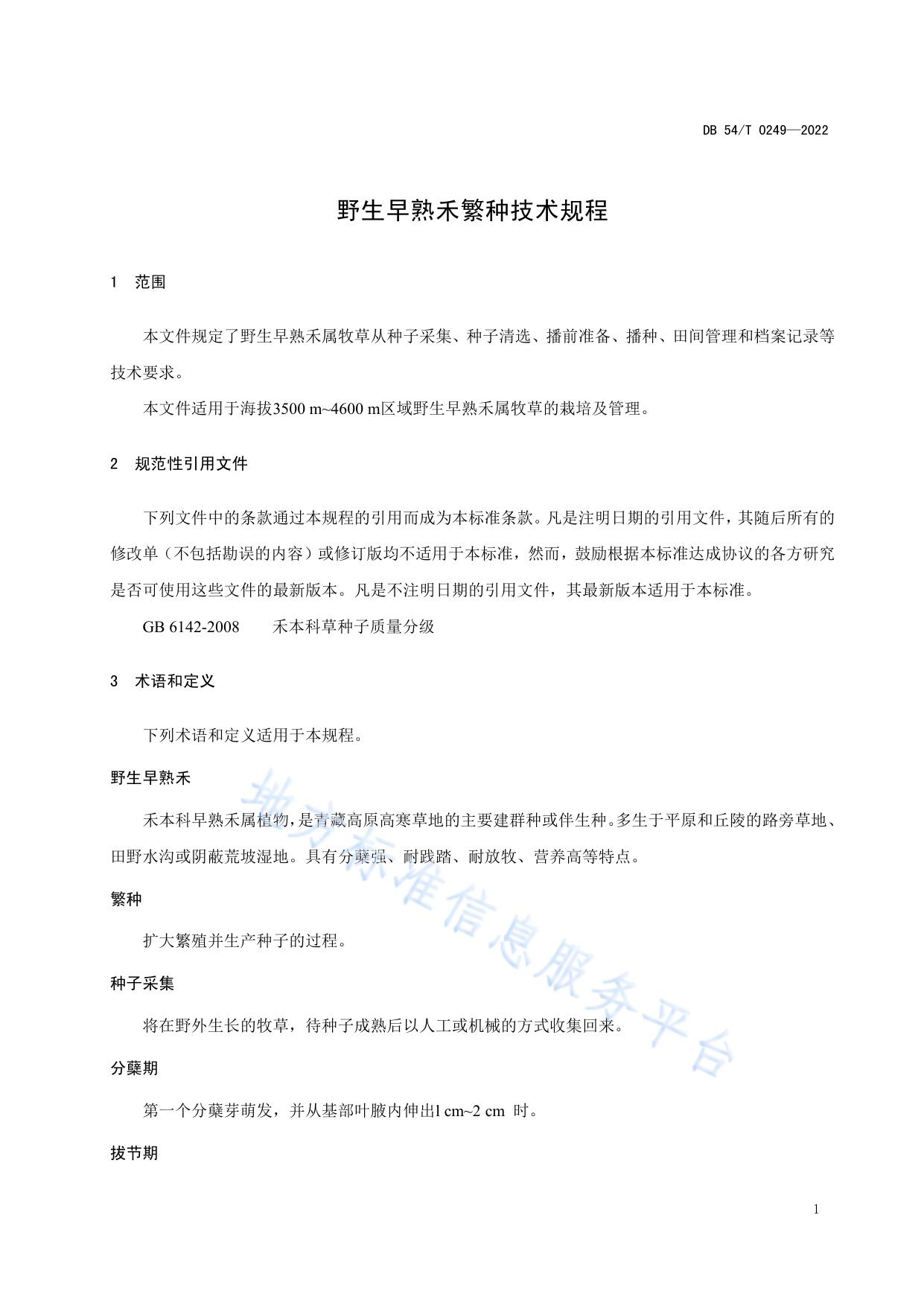 野生早熟禾繁种技术规程