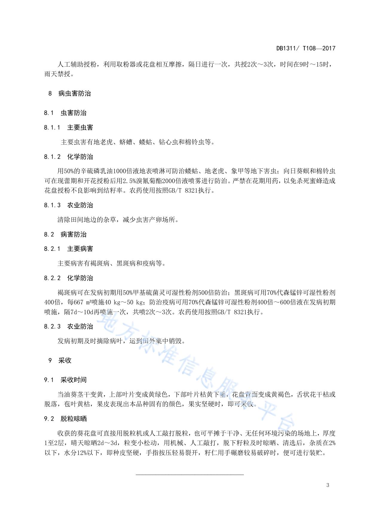 早春播油葵高产栽培技术规程