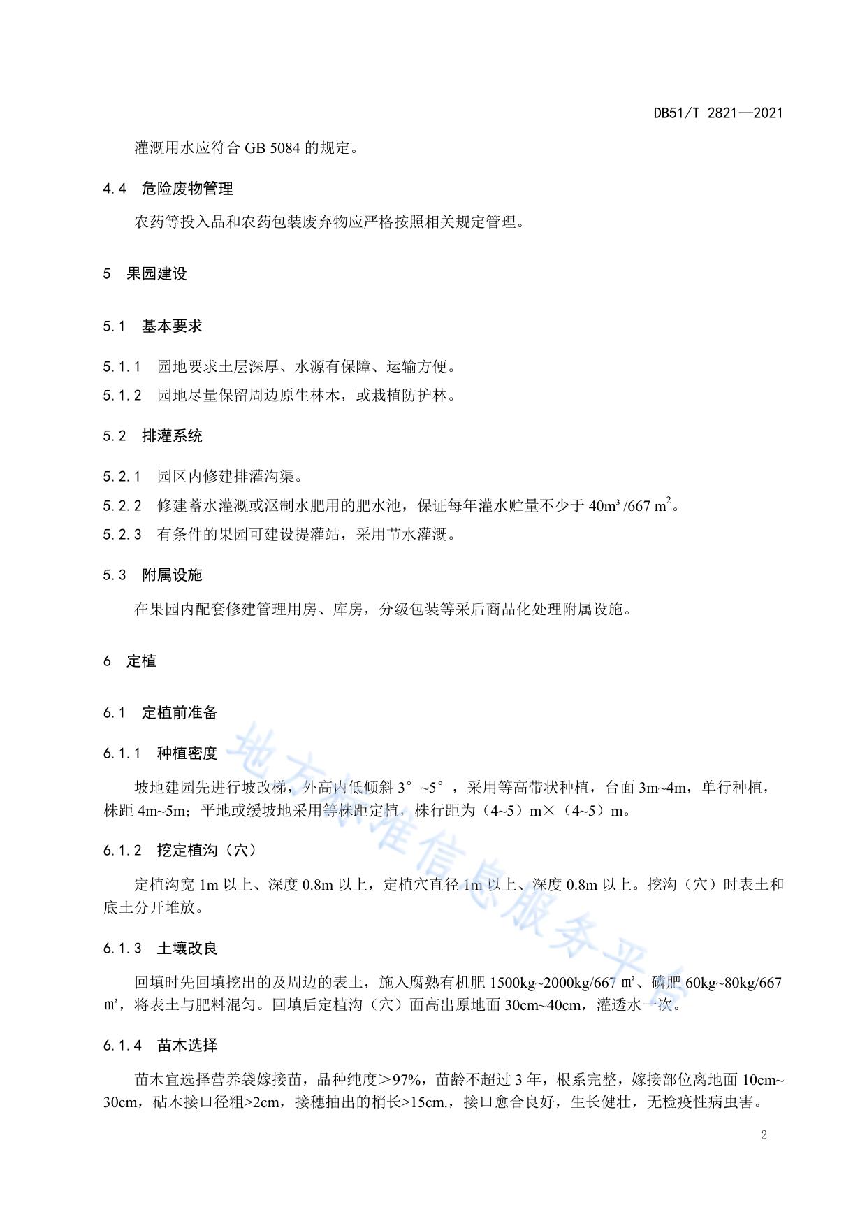 晚熟芒果种植技术规程