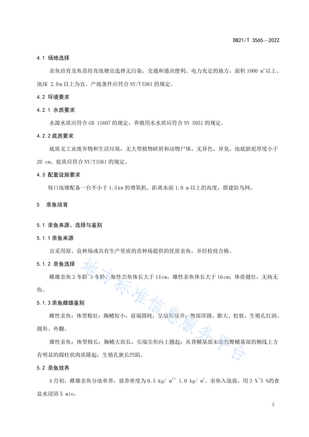 大鳞副泥鳅人工繁育技术规程