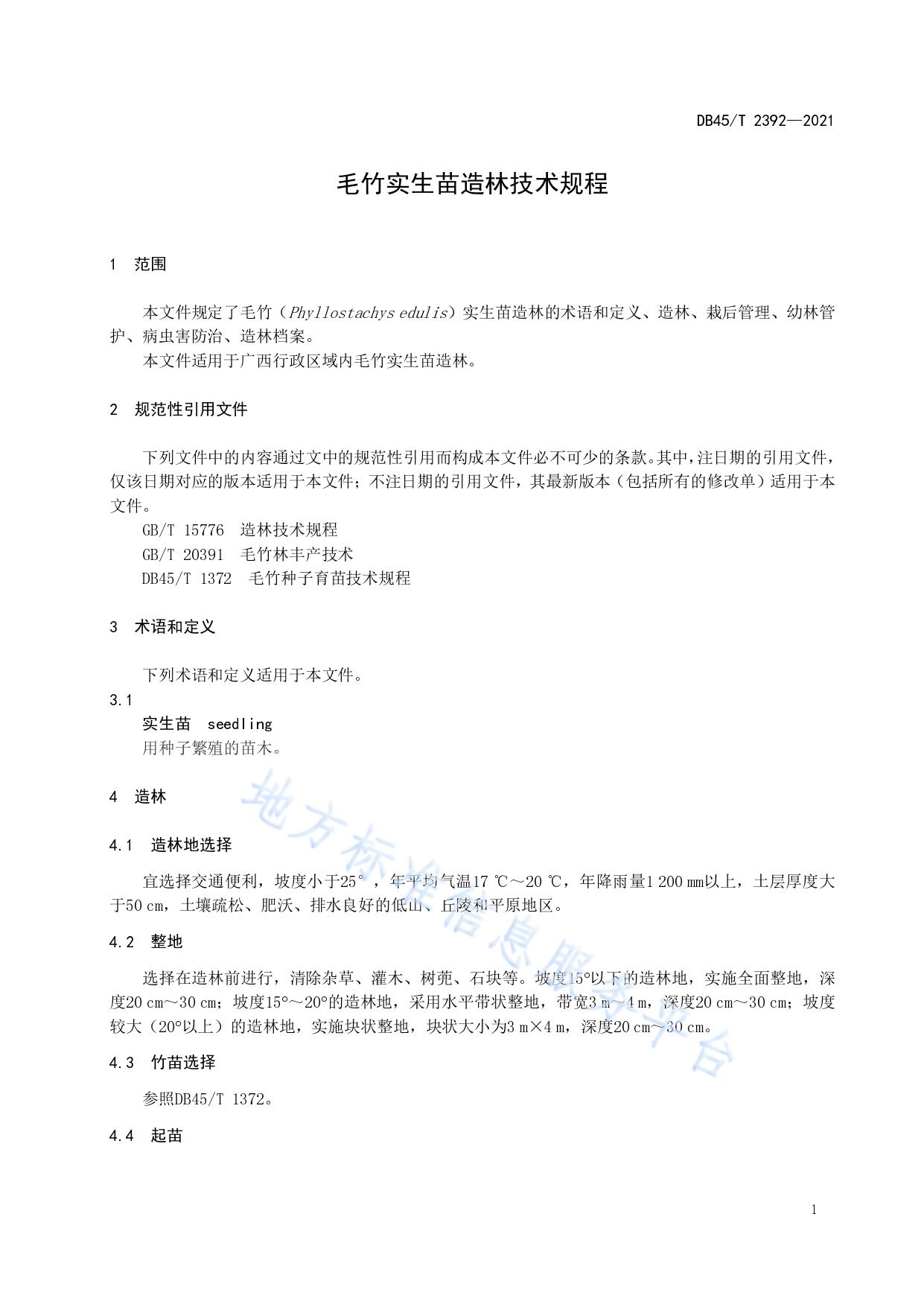 毛竹实生苗造林技术规程